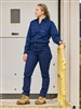 Bisley Ladies X Airflow Stretch Ripstop vented Cargo Pants