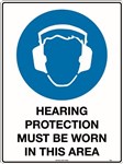 600x450mm  Poly  Hearing Protection Must be Worn in This Area