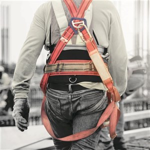 Harnesses